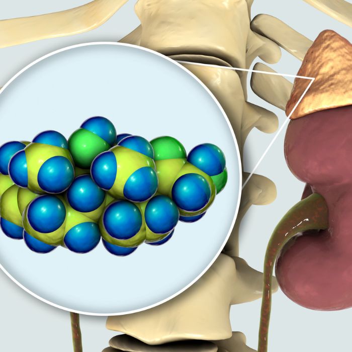 aanmaak cortisol stress menopauze