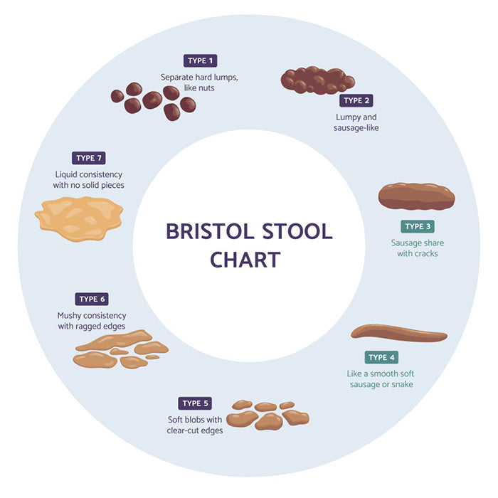 bristol stool chart insentials