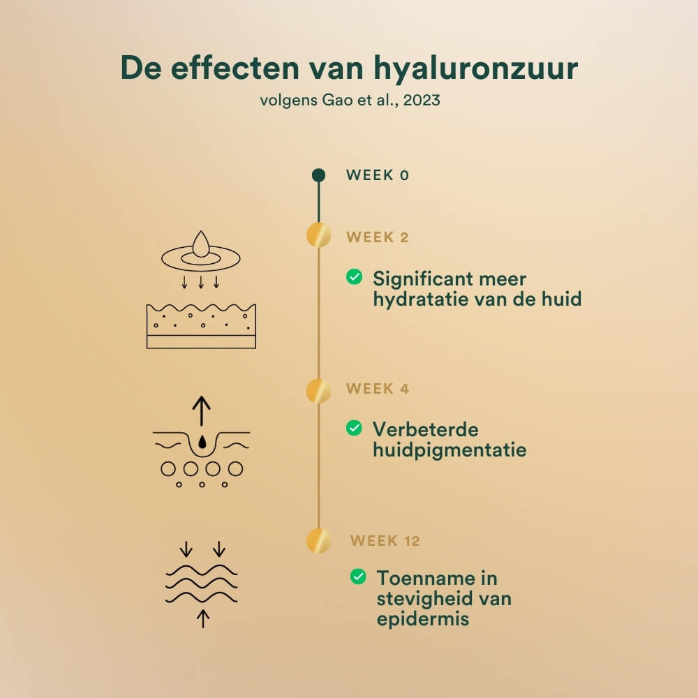 effecten hyaluronzuur huid insentials supplementen