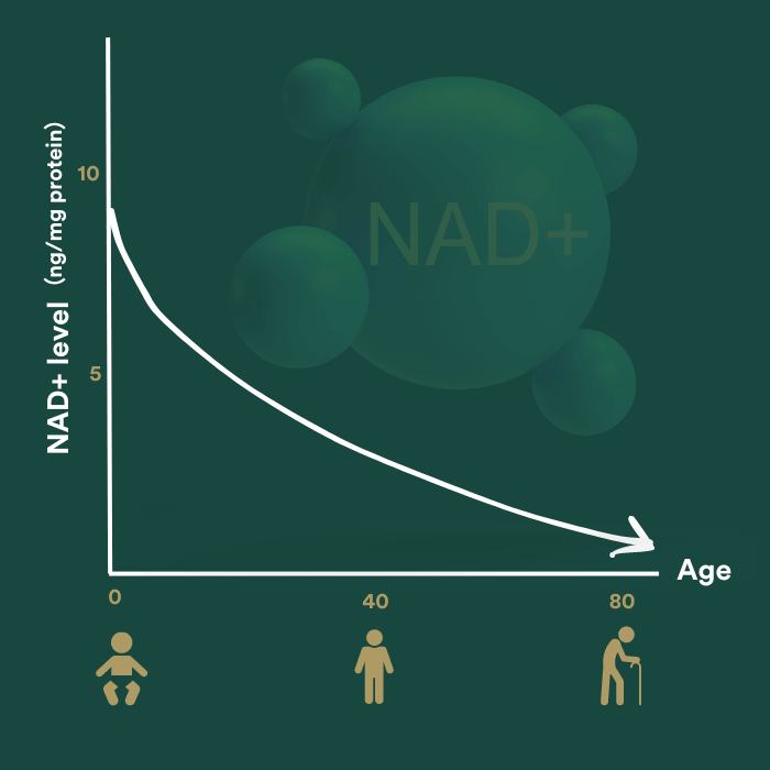 nad plus niveau ouder worden insentials